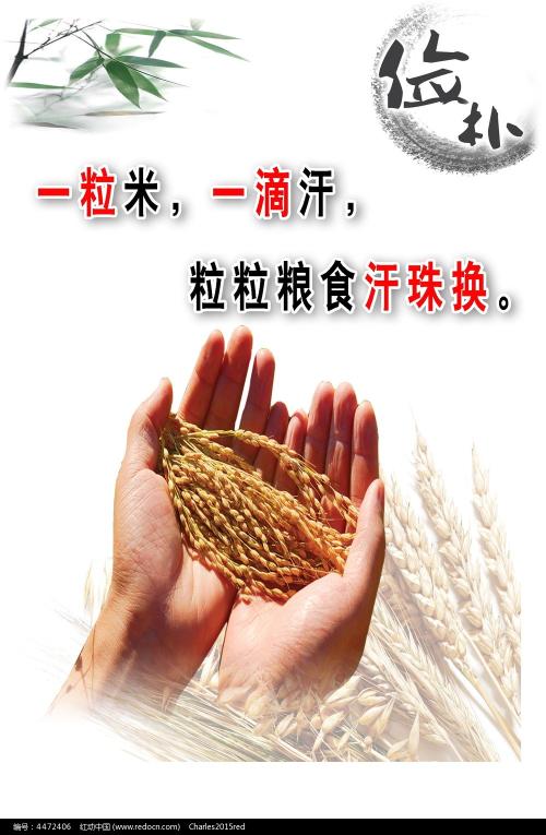 蒙彼利埃大学Diploma in Economics